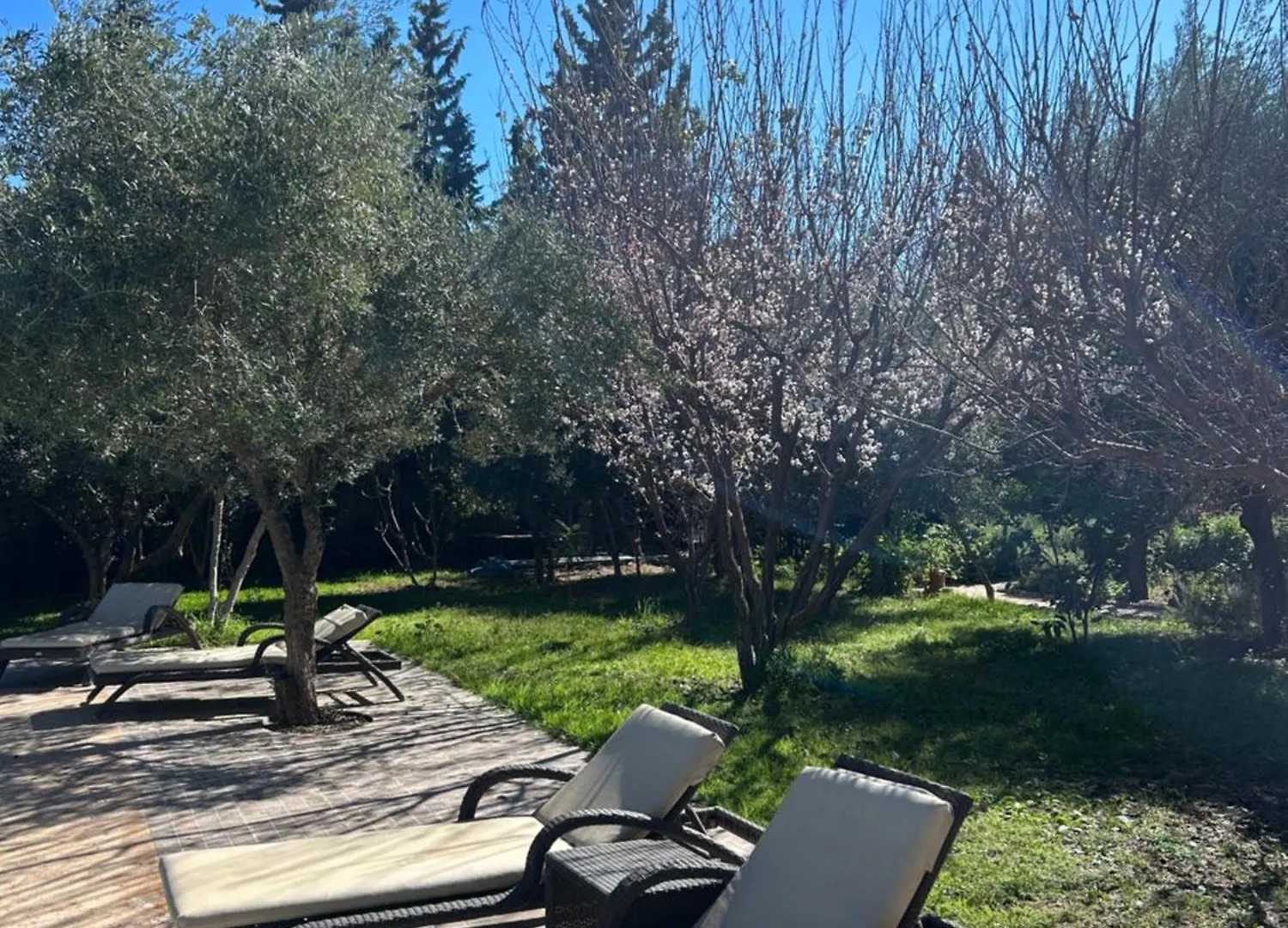 Villa Safran Marrakesh